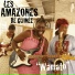 Les Amazones de Guinee