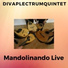 Diva Plectrum