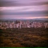 Los Zorzales