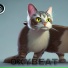 Oxybeat