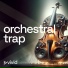 Vivid Production Music