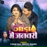 Tufan Raj, Shrishti Bharti