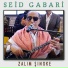 Seid Gabari