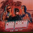 Mc Erikah, MC DOM LP feat. DJ MARIACHI