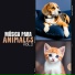 Relajar Mascota