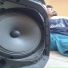 Paue, Antsxcial