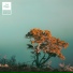 Lofi Munk Music, $tonehardt, Sir Nicolas