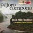 Felix Perez Cardozo