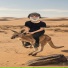 WENDOR