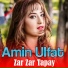 Amin Ulfat