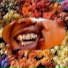 Igor Drummond