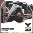 PITTARIUS CODE