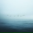 rainuare