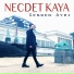 Necdet Kaya