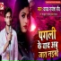 Yadav Rajesh Roy