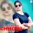 Wasim Akram Alwar feat. Farhan Khan Alwar
