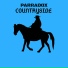 Parradox