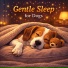 Dog Sleep Lab