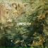 RCN