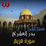 Al Sheikh Badr Al Ashry