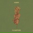 Flowtype