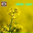 Sadeep Das