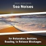 Relaxing Music, Ocean Sounds, Nature Sounds