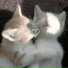 kaymoon