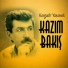Kazım Bakış