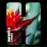 Infinyx - Lynad