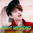 Bakht Mir Showqi