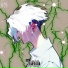 Yung Chiisai
