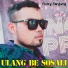 Ficky Tanjung