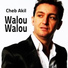 Cheb Akil
