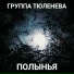 Группа Тюленева