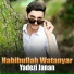 Habibullah Watanyar