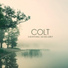 Colt