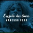 Vanessa Ferr