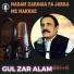 Gul Zar Alam