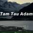 TI C