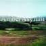 Amber Asylum