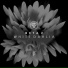 Beta 2
