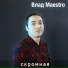 Влад Maestro