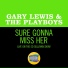 Gary Lewis & The Playboys