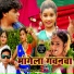 Dilip Nigam