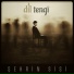 Dil Tengi