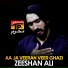 Zeeshan Ali