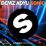 Deniz Koyu vs Example vs Wippenberg