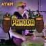 PAMODA