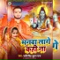 Sunny Singh, Suman Raj